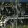 水中庭園