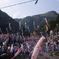 群れ