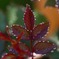 DSC01924