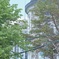 SCALE HOUSE