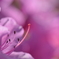 にょき～ん♡