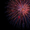 20090816_IMG_4618