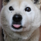 ベー