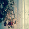 dry flower