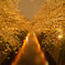 目黒川_桜ライトアップ