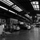 築地市場