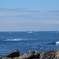DSC_0063