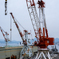 Crane