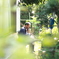 覗き見