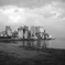 _MG_9274
