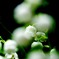 ＳＵＺＵＲＡＮ　- 02 -
