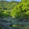 ～奥多摩にも春（2）～