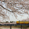 春風に乗って～三岐鉄道～