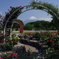 ROSE GARDEN FUJI