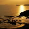 golden　rice terraces 