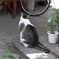 下谷の主