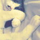 はちわれ猫