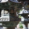 日光