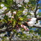 IMGP0886
