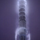 違う楽しみ方