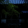愛宕念仏寺　地蔵堂