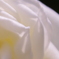 ばらの花3