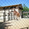 ２０１３．５　京都市動物園