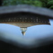 水面に映る開山堂＠東福寺