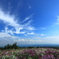 産山村の青空