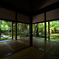 tranquil yard