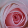 DSC03369