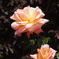 DSC06880