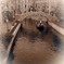 Venice3