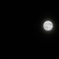 5/25　月②