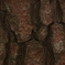 幹