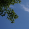 P5020315