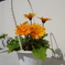 IMGP0461