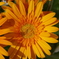 IMGP0460