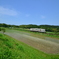 田んぼ