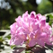 photo_2571467