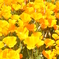 photo_2571476