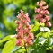 photo_2571538