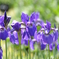 photo_2571541