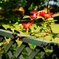 DSC03287