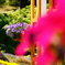 DSC03293 (1)