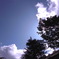 R0011085