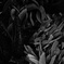 Botanic Garden 10