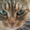 CatsEye☆