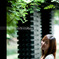 Anita, Girl next door