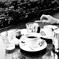 TEA TIME